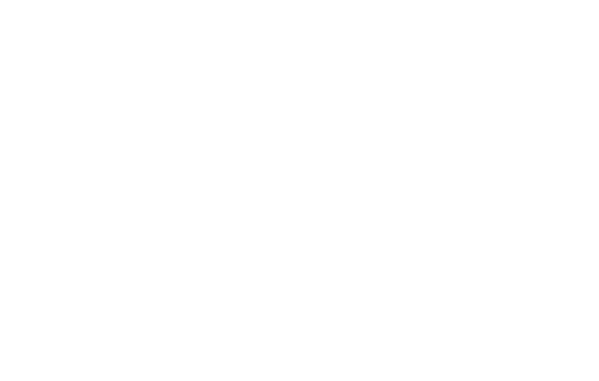 Santiago Grill Festival